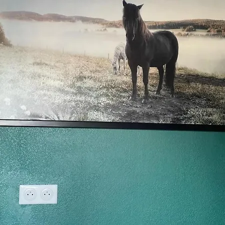 Apartment Cosy 4 Personnes Au Coeur Des Pyrenees *