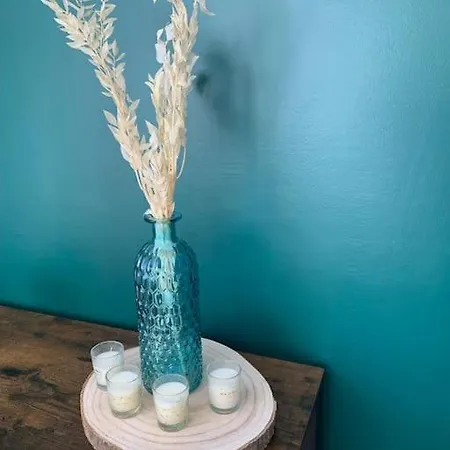 Cosy 4 Personnes Au Coeur Des Pyrenees Apartment